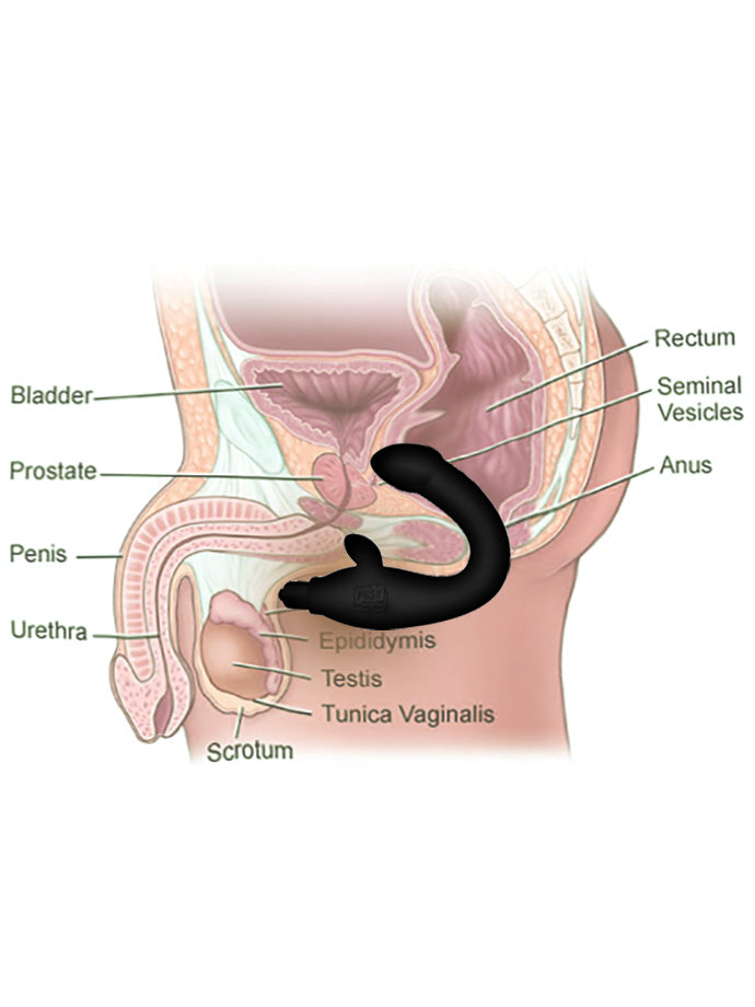 7 Function Perfect Prostate Master