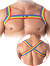 Rainbow Chest Harness