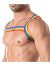 Rainbow Chest Harness