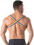 Rainbow Chest Harness