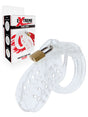 Extreme Chastity Cock Cage Acrylic