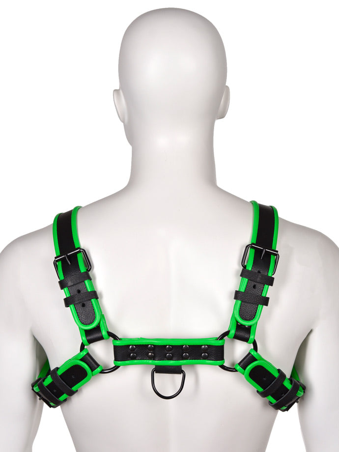 Club Echtleder Harness - Schwarz/Grün