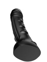 Big Boys Dong XL
