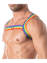 Rainbow Chest Harness