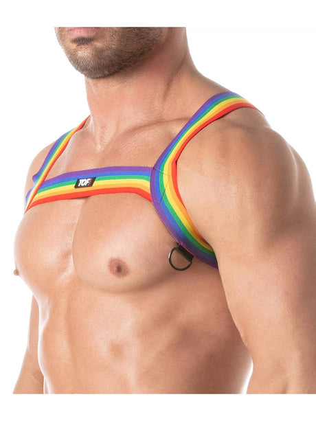 Rainbow Chest Harness