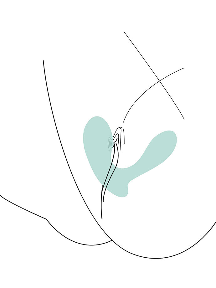 Xocoon DuoVibe II Tapping Vibrator